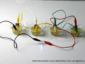 DIY Saltwater Battery Kit