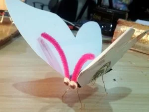 solar bug