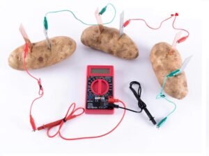 Fruit Power Battery Kit