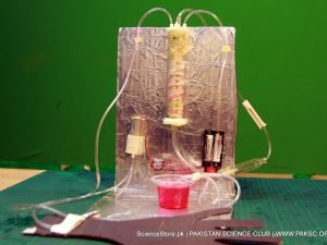 Hemodialysis Kit Working model of Science Fair