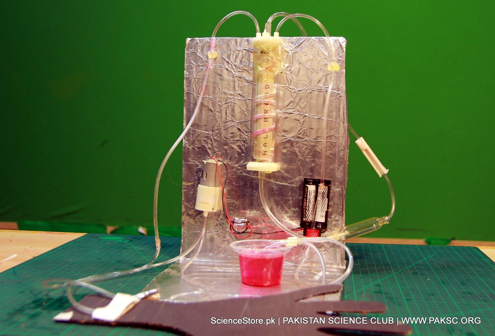 Buy online Biology Model of the Working Model of HEMODIALYSIS in Pakistan