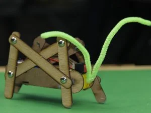 hopper-bot