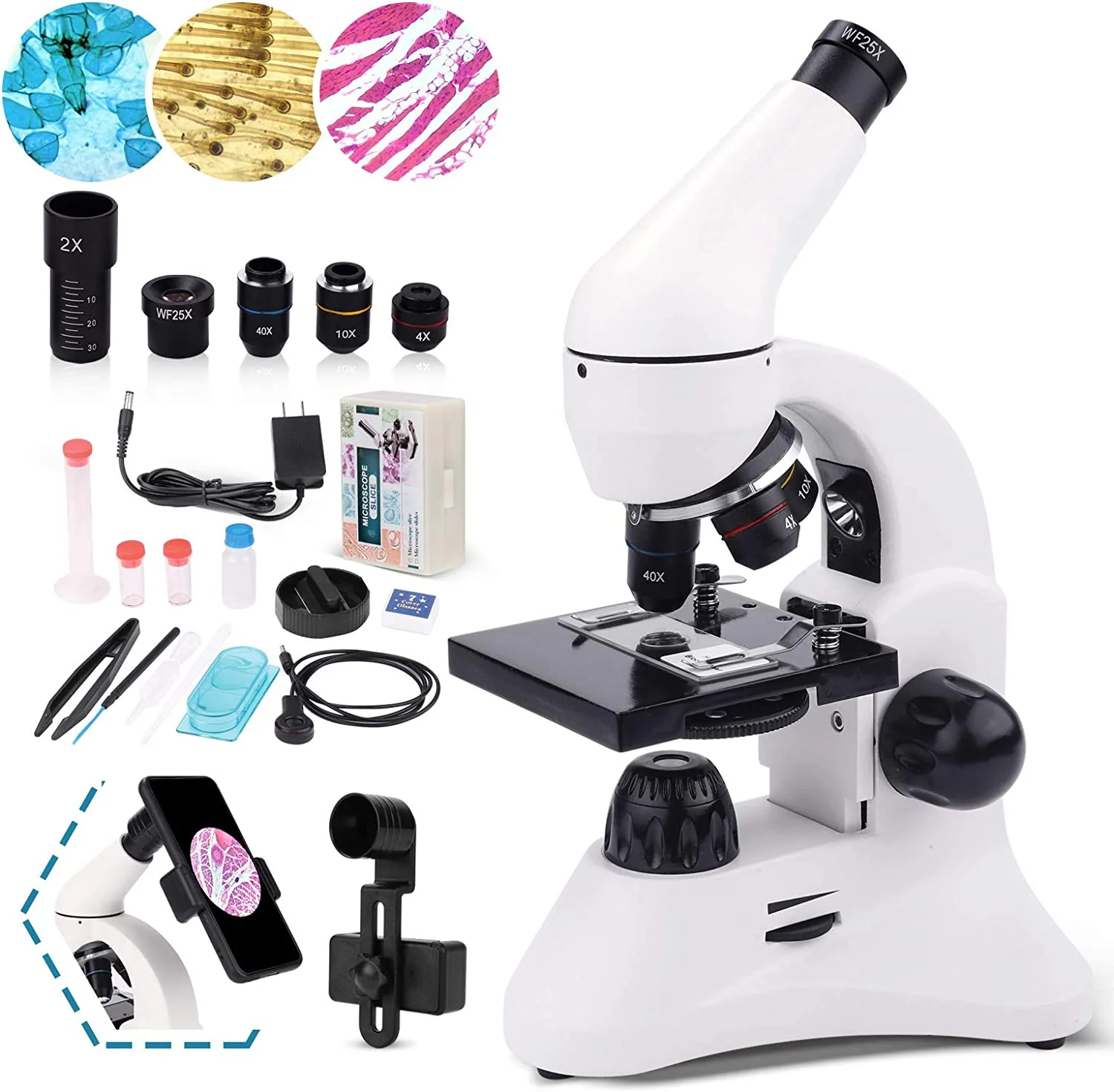 USCAMEL Microscope for Adults,Kids and Students