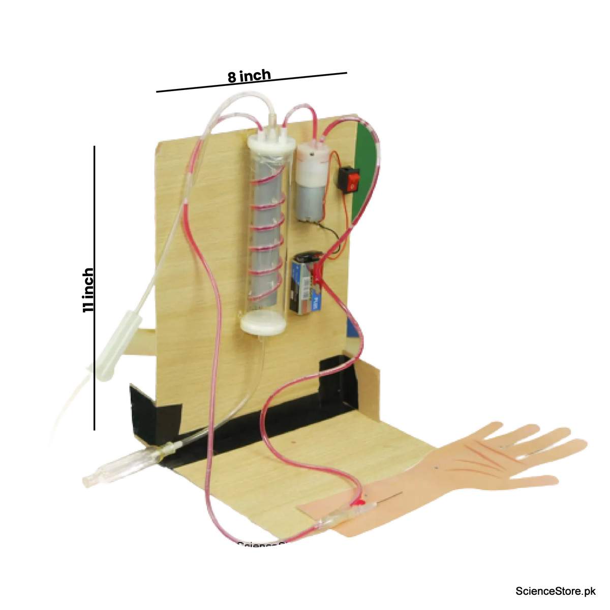 Buy Online Biology Model Of The Working Model Of HEMODIALYSIS In Pakistan