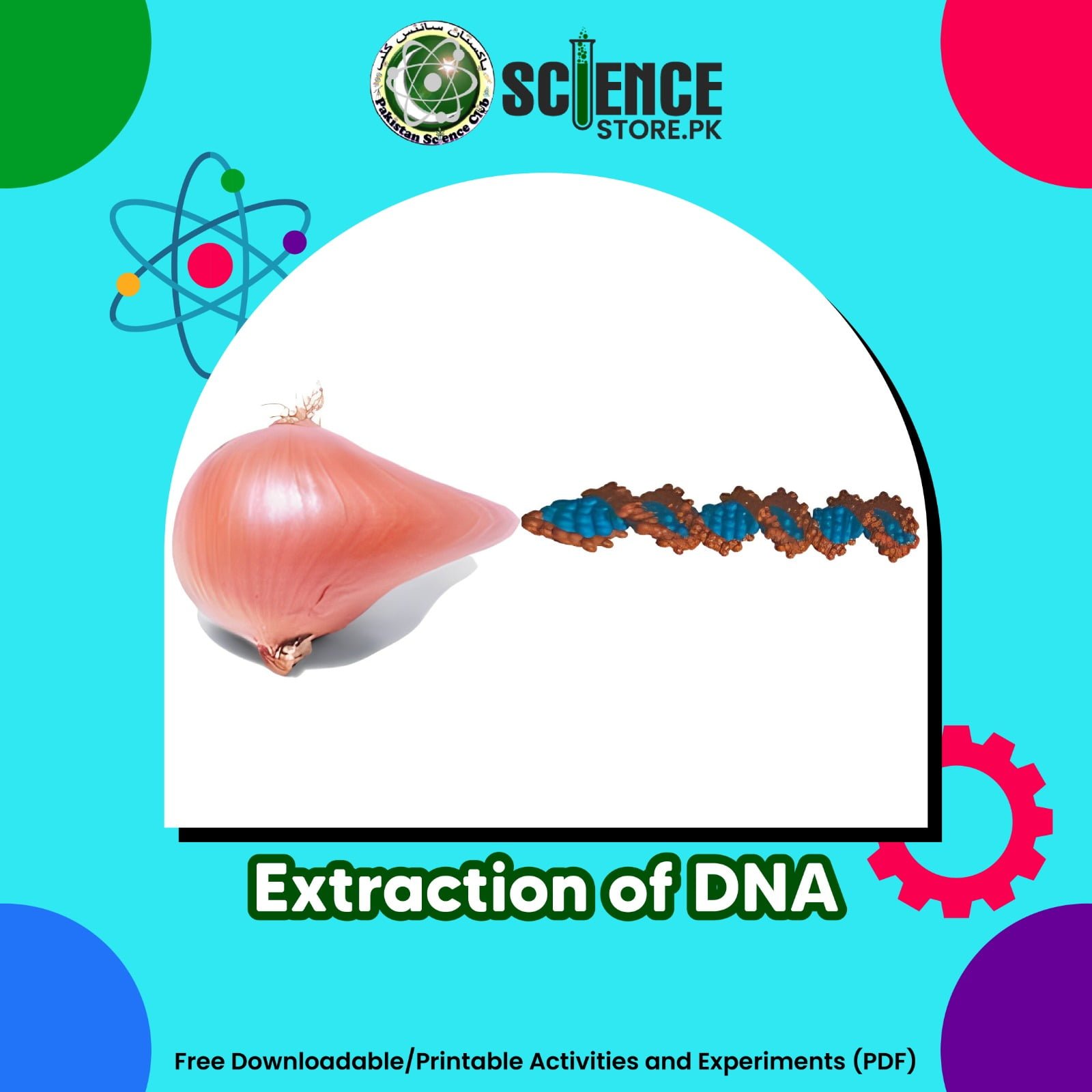 Extraction of DNA