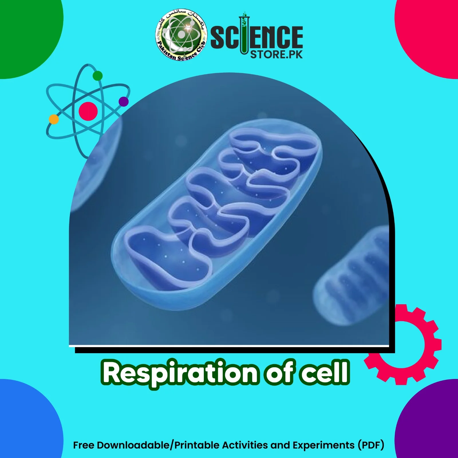 Respiration of cell