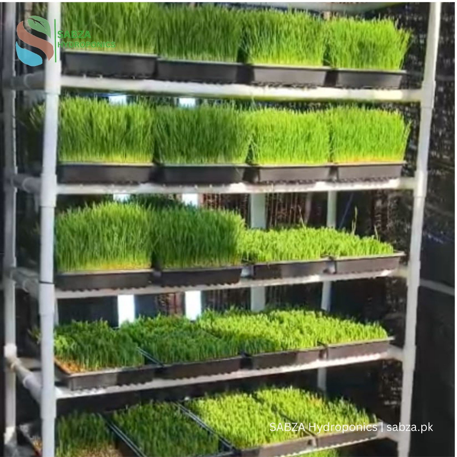 Hydroponic Fodder Kit (20 Trays - 100 Kg)